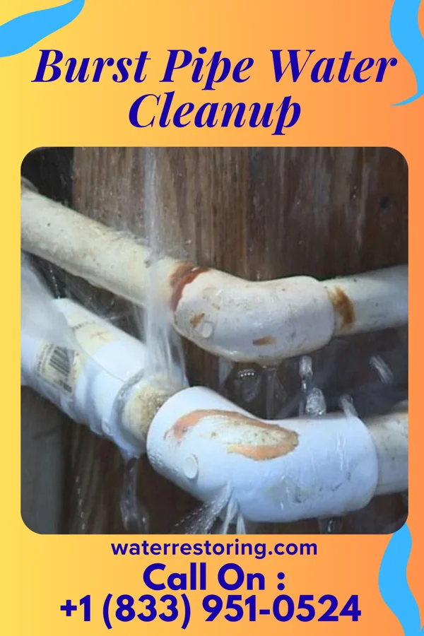 Burst Pipe Water Cleanup in Porters Neck, NC