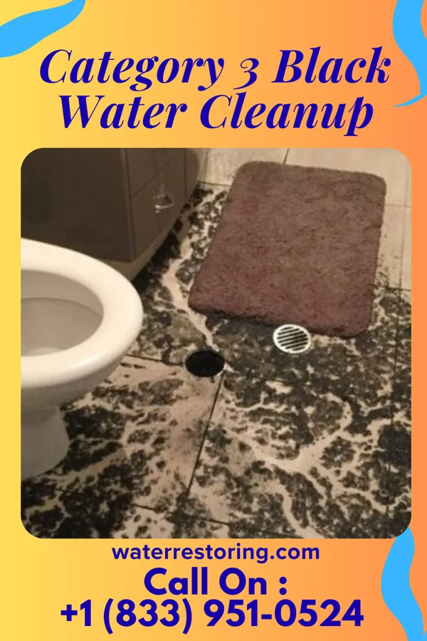 Category 3 Black Water Cleanup in Porters Neck, NC