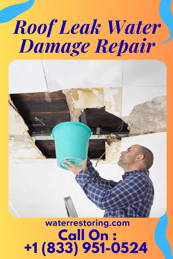 Roof Leak Water Damage Repair in Porters Neck, NC