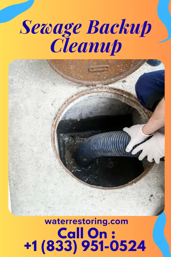 Sewage Backup Cleanup in Porters Neck, NC
