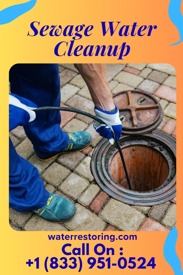 Sewage Water Cleanup in Porters Neck, NC